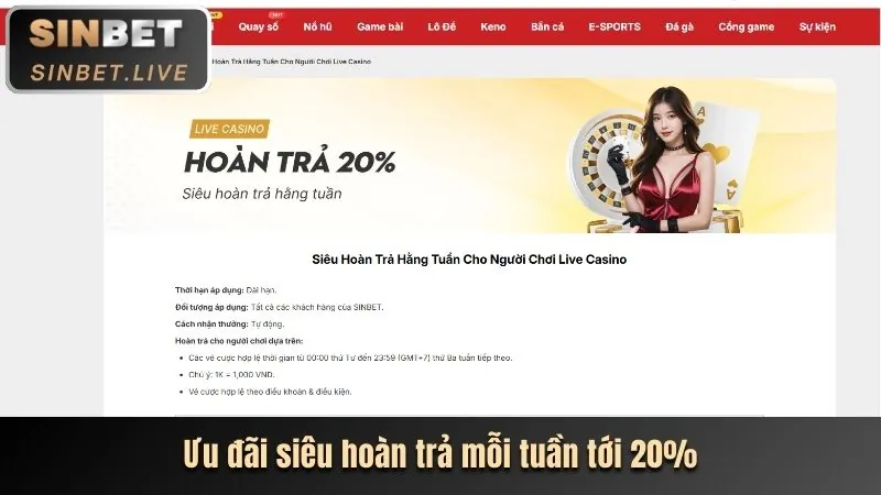 Chương Trình VIP & Thưởng Thành Viên Thân Thiết